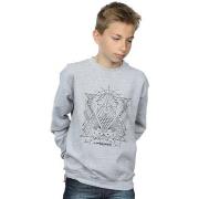 Sweat-shirt enfant Fantastic Beasts BI16773