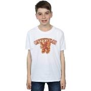 T-shirt enfant Harry Potter BI19918