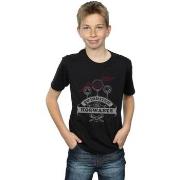 T-shirt enfant Harry Potter BI19945