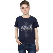 T-shirt enfant Harry Potter Elfish Welfare