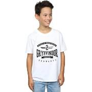 T-shirt enfant Harry Potter BI20024