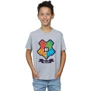 T-shirt enfant Harry Potter BI20094