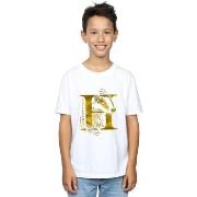 T-shirt enfant Harry Potter BI20458
