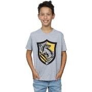 T-shirt enfant Harry Potter BI20522