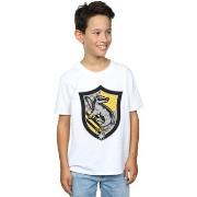 T-shirt enfant Harry Potter BI20522