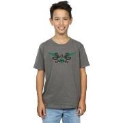 T-shirt enfant Harry Potter Slytherin