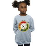 Sweat-shirt enfant Fantastic Beasts BI17129