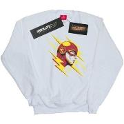 Sweat-shirt enfant Dc Comics BI17175