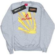 Sweat-shirt Dc Comics The Flash Lightning Bolts