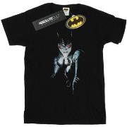 T-shirt Dc Comics Batman Alex Ross Catwoman