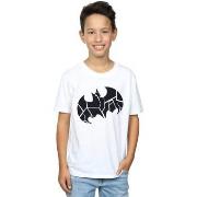 T-shirt enfant Dc Comics BI15511