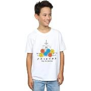 T-shirt enfant Friends BI18031