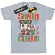 T-shirt Dc Comics Chibi Catwoman Santa Claws