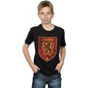 T-shirt enfant Harry Potter Gryffindor Crest Flat