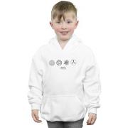 Sweat-shirt enfant Fantastic Beasts BI6258