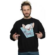 Sweat-shirt Animaniacs BI8191