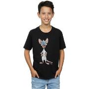 T-shirt enfant Animaniacs BI6244