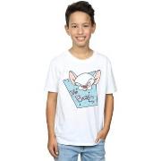 T-shirt enfant Animaniacs BI6284