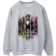 Sweat-shirt Dc Comics Black Adam JSA Complete Group