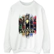 Sweat-shirt Dc Comics Black Adam JSA Complete Group