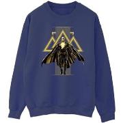 Sweat-shirt Dc Comics BI11173