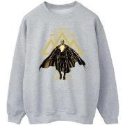 Sweat-shirt Dc Comics BI11173