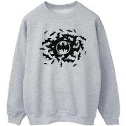 Sweat-shirt Dc Comics BI11689