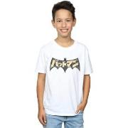 T-shirt enfant Dc Comics BI15688