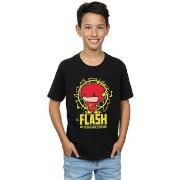 T-shirt enfant Dc Comics My Hero Since Forever