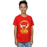 T-shirt enfant Dc Comics Flash My Hero Since Forever