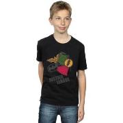 T-shirt enfant Dc Comics BI21606