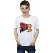 T-shirt enfant Dessins Animés BI38481