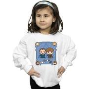 Sweat-shirt enfant Fantastic Beasts BI16998