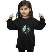 Sweat-shirt enfant Fantastic Beasts BI17017