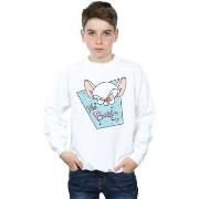 Sweat-shirt enfant Animaniacs The Brain Mugshot