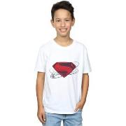 T-shirt enfant Dc Comics BI21833