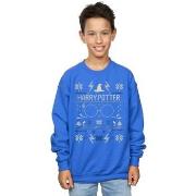 Sweat-shirt enfant Harry Potter BI19380