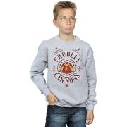 Sweat-shirt enfant Harry Potter BI19178