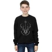 Sweat-shirt enfant Harry Potter Expecto Patronum Charm