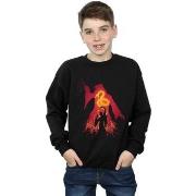 Sweat-shirt enfant Harry Potter BI19527