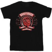 T-shirt enfant Harry Potter Gryffindor