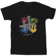 T-shirt enfant Harry Potter Emblems H Spray