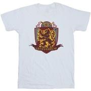 T-shirt enfant Harry Potter Gryffindor