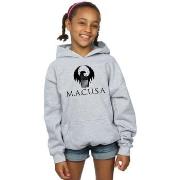 Sweat-shirt enfant Fantastic Beasts BI6688