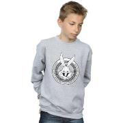 Sweat-shirt enfant Dessins Animés BI23155