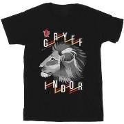 T-shirt enfant Harry Potter Gryffindor