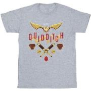 T-shirt enfant Harry Potter Quidditch Golden Snitch