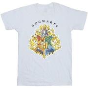 T-shirt enfant Harry Potter Hogwarts School Emblem