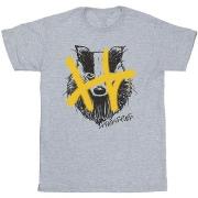 T-shirt enfant Harry Potter Hufflepuff Pop Spray