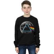 Sweat-shirt enfant Pink Floyd Dark Side Of The Moon Distressed